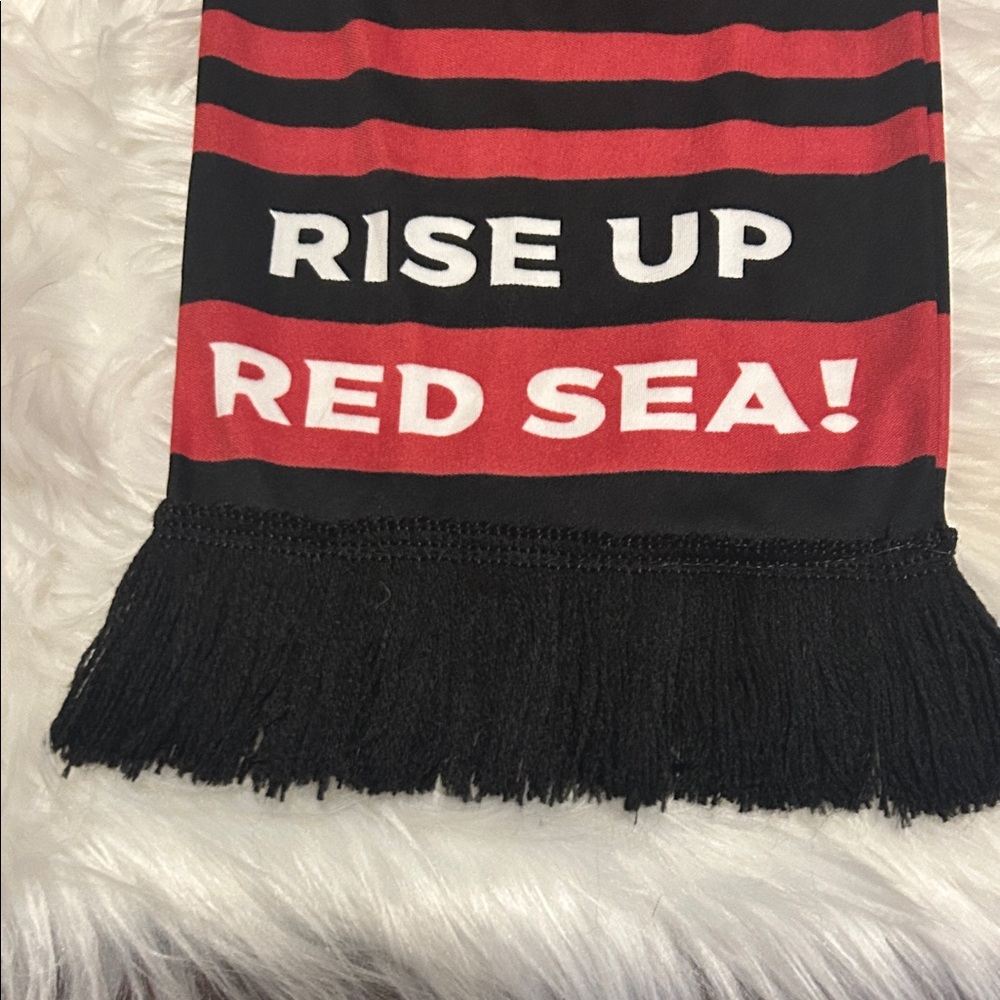 Arizona Cardinals Black & Red Graphic Scarf “LET’S GO CARDS!” “RISE UP RED SEA!” - Picture 4 of 9